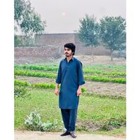 vibesofpunjab