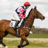 markbradstockofficial