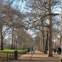 original sound - hiphop.alan