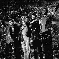 lolasdirection