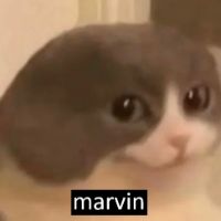marvin.rr125