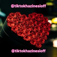 tiktokhazinesioff