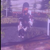 strideway_0172