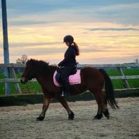 zola.paardenliefh8