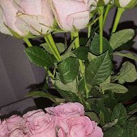 xxtixia