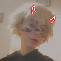louve.theanima