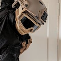 swiss_roach