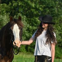 newforest_jayjay