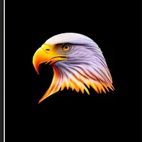 original sound - yasirkhan_116