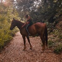 rya_ranch