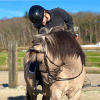 iness.rider