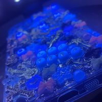 junk.cases73