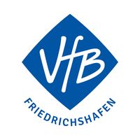 vfb_volleyball