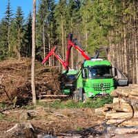 biomasse.marcel.vogler