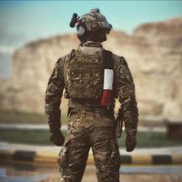 french_military_is_here