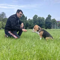 original sound - beagle.adventures