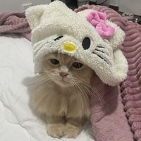 weird.b1tch.com