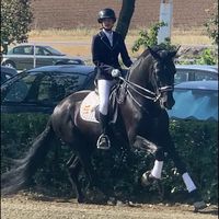 lets_go_equestrians