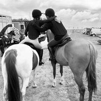 thehorseduo4