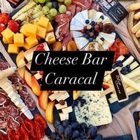 cheesebarcaracal