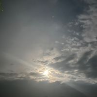 treaba_mea0