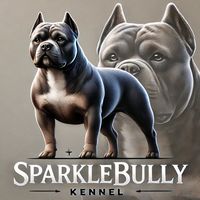 americanbullymania