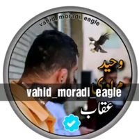 vahid_moradi_eagle6