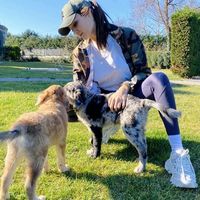 sarahmdan01