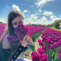 Ești pregătit să pleci. Toflea