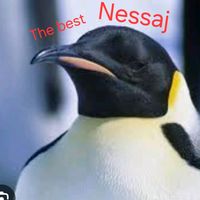 nessaj_pingvinjei69