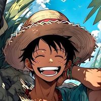 tiktok_luffy_2009