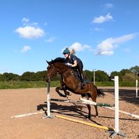 charlotte_equestrian96