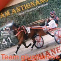 francesco.cacciap2