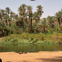 dz_1631