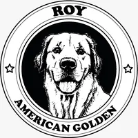 original sound - roy_americangolden