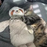 original sound - usernamee_024