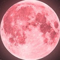 COME AND GET YOUR CANDY