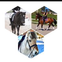 hest.er._.best