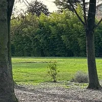 original sound - romanian.song_