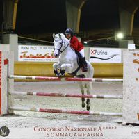 carmen_corrain_