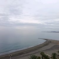 picussasc