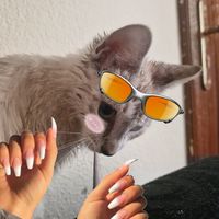 blaze19062
