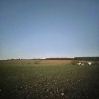 Equestrian Audios Part 149