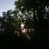 original sound - giurlarite