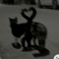 alkuperäinen ääni