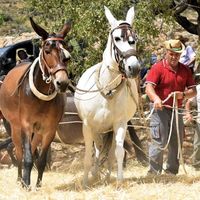 joseantonio_archilla