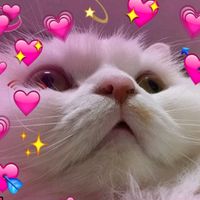 alkuperäinen ääni