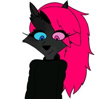 midnight.0n.pawzz
