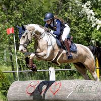 sportschecke.willy