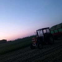 dźwięk oryginalny